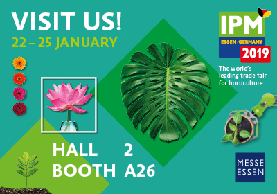 IPM Essen