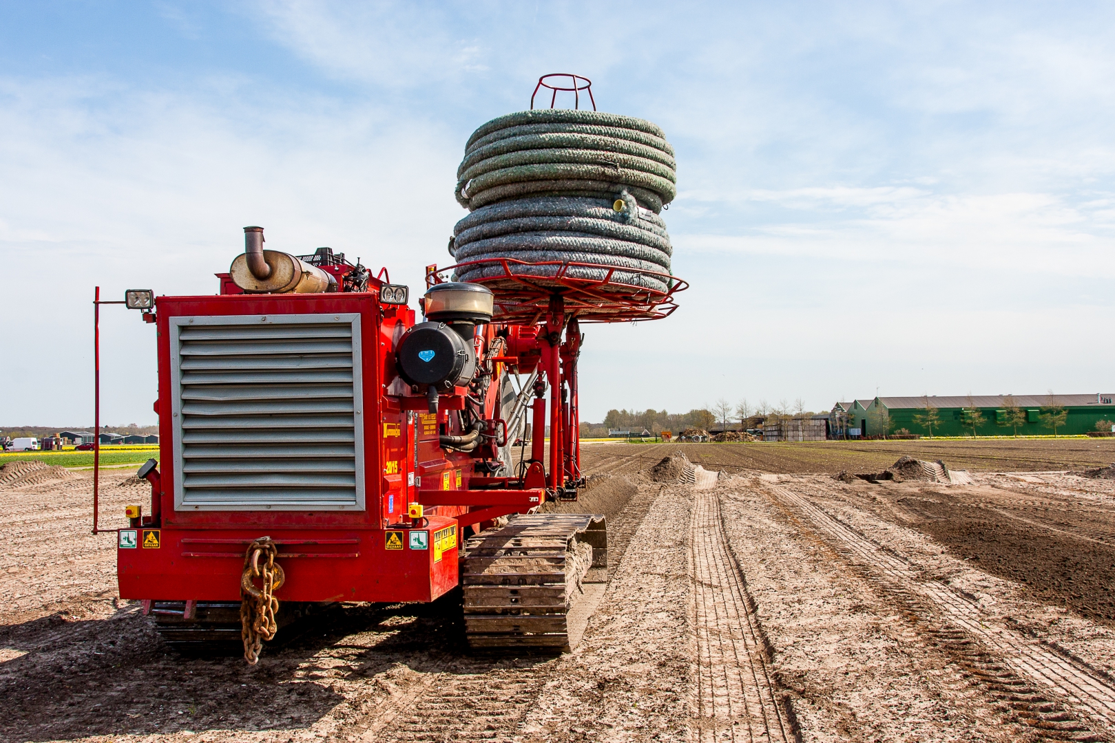 First bulb grower to use ironsand