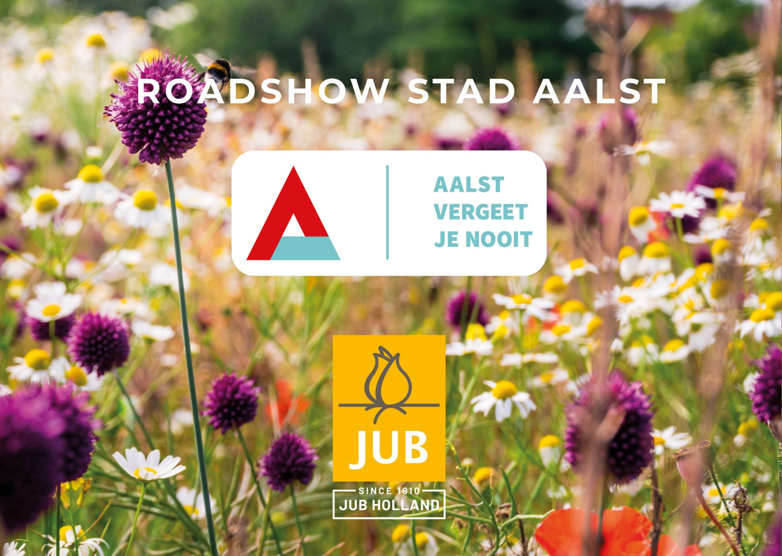 Vlaamse primeur voor De Bonte Berm in Aalst