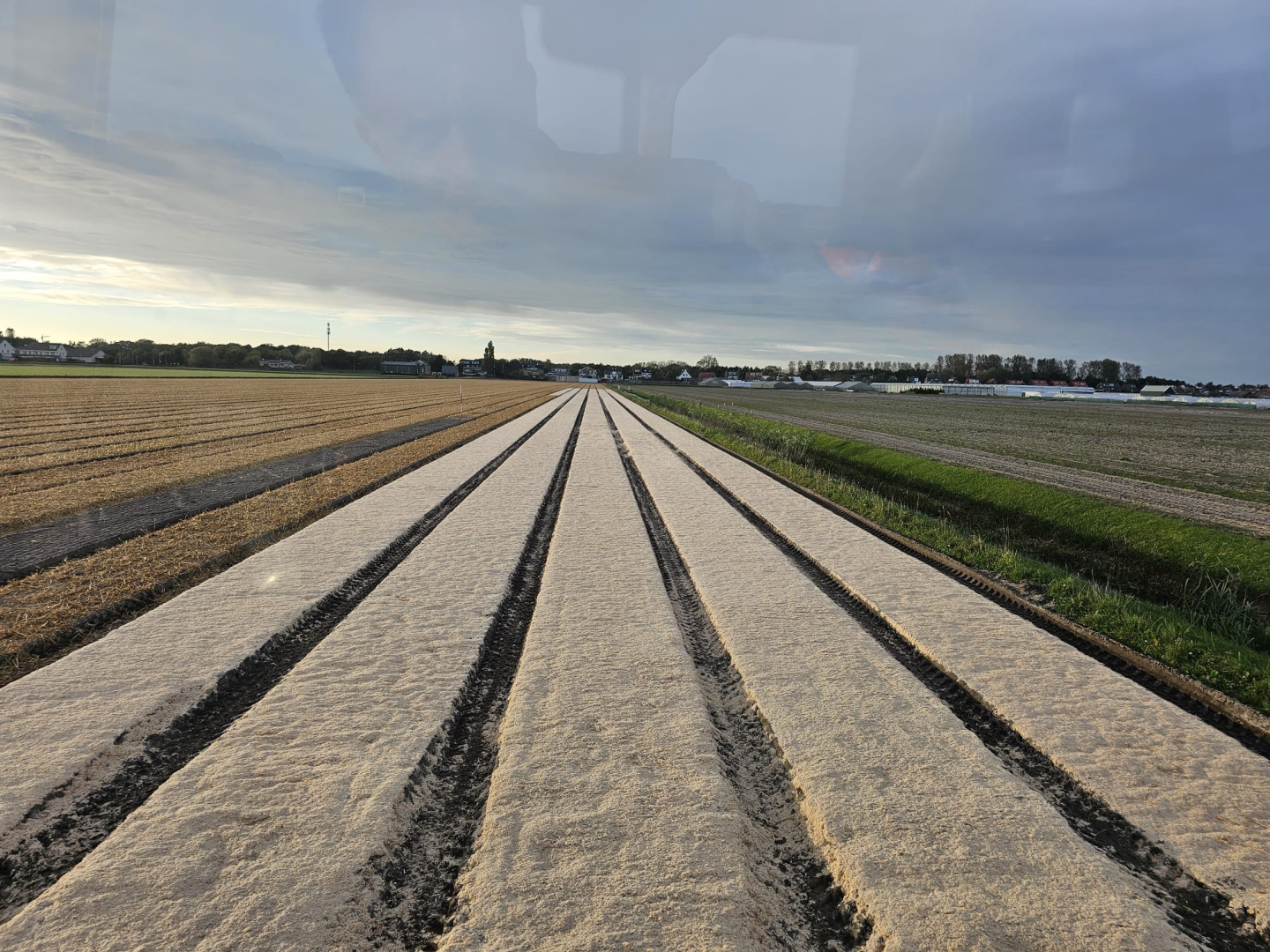 Greenfibre® : Fibres de bois innovantes comme alternative durable au désherbage dans la culture des 