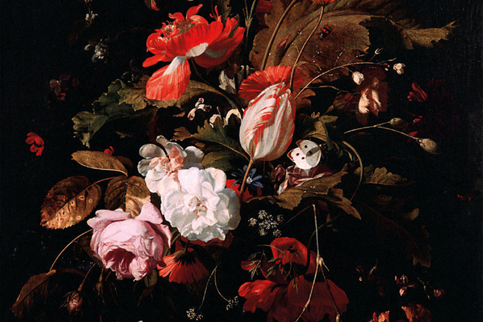 JUB Holland präsentiert seine neue Bepflanzung im Keukenhof: „A Mysterious Dutch Still Life“