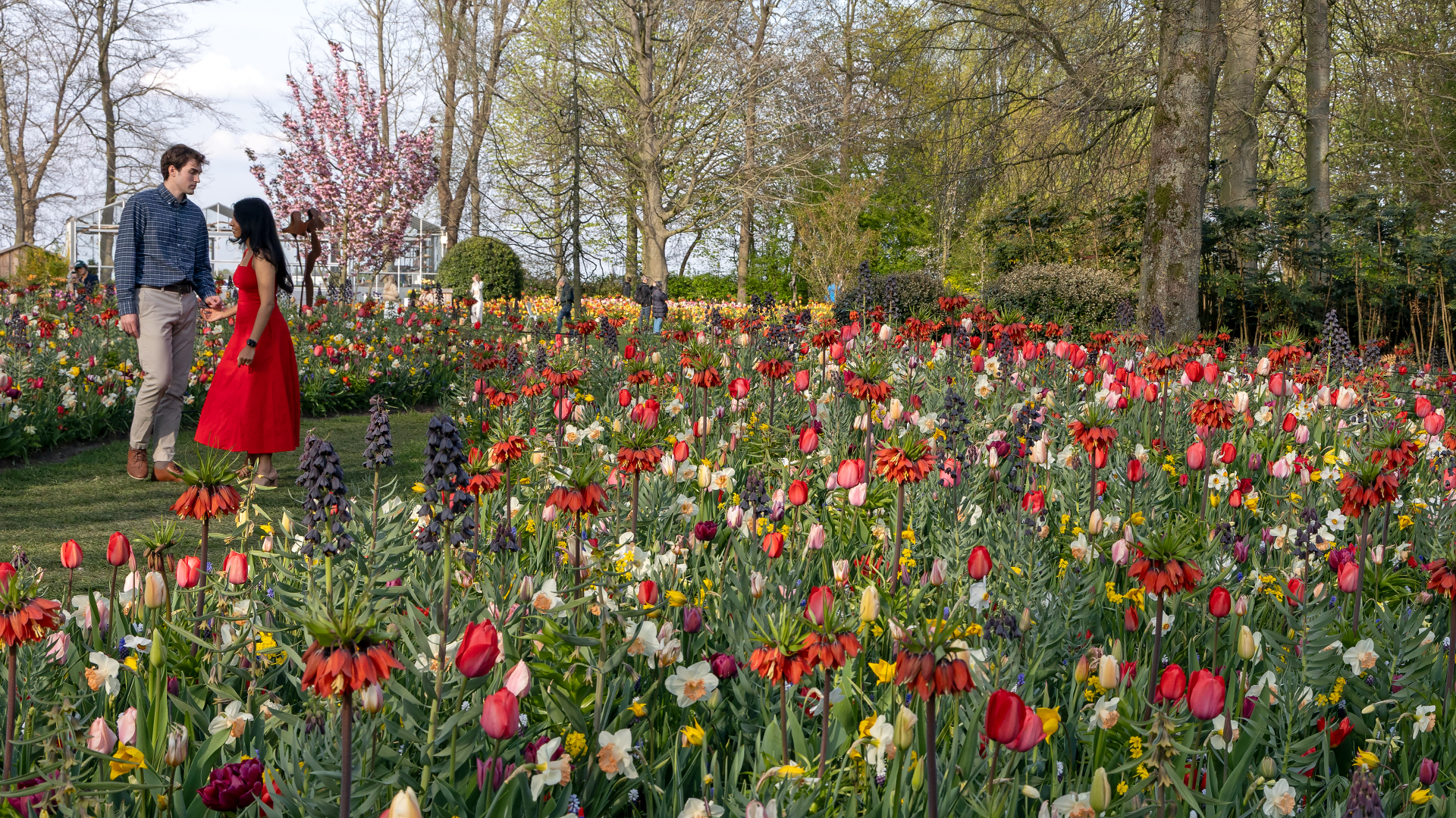 A Painterly Finale JUB Holland’s Blooming Masterpiece at Keukenhof 2025