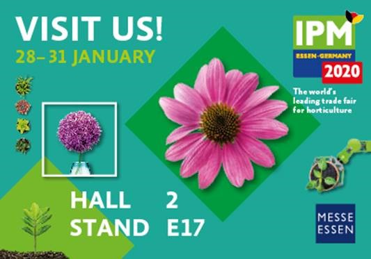 IPM Essen