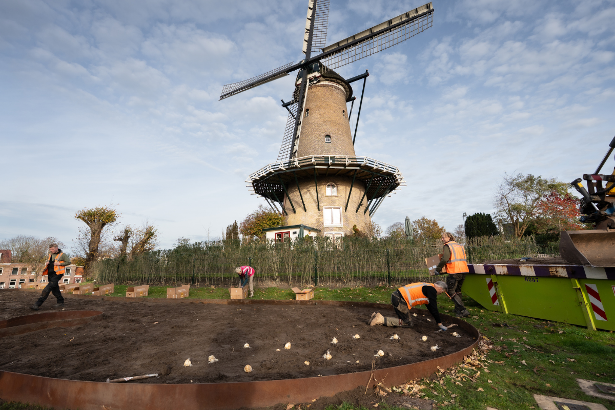 Voorjaar in voorbereiding bij de Molen van Piet