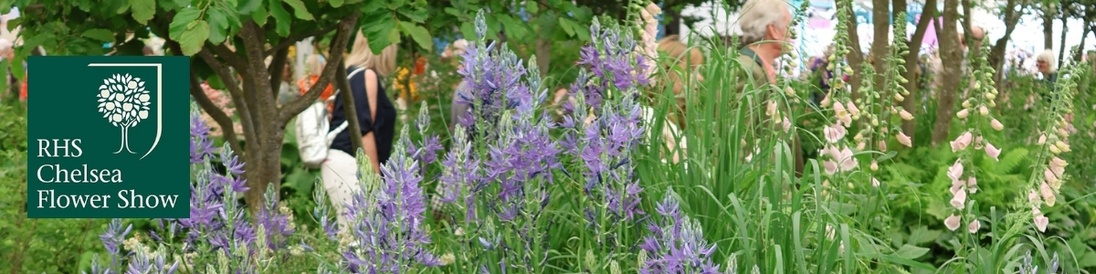 Chelsea Flower Show 2026 through a landscape lens