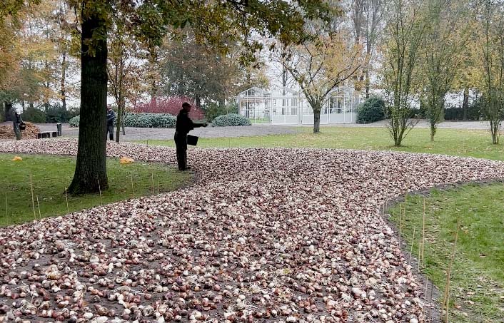 Aanplant Keukenhof 2022