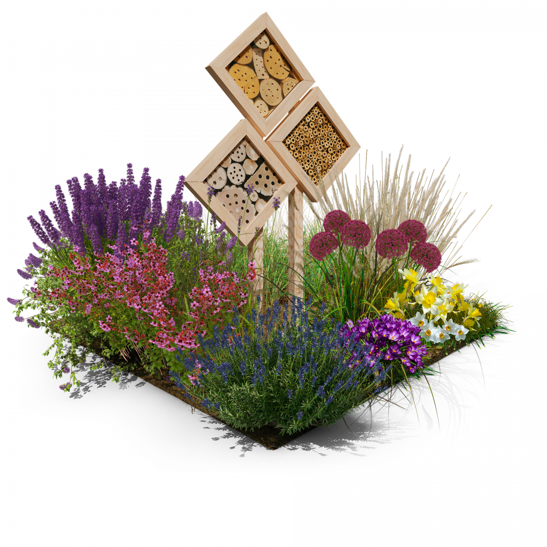 Urban Bee Garden 