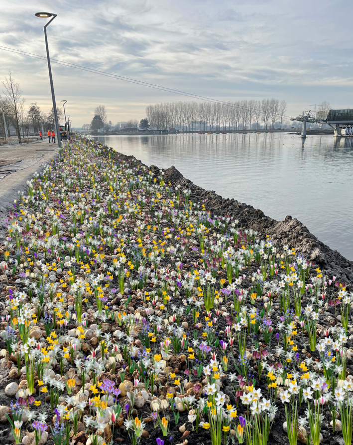 Visualisatie