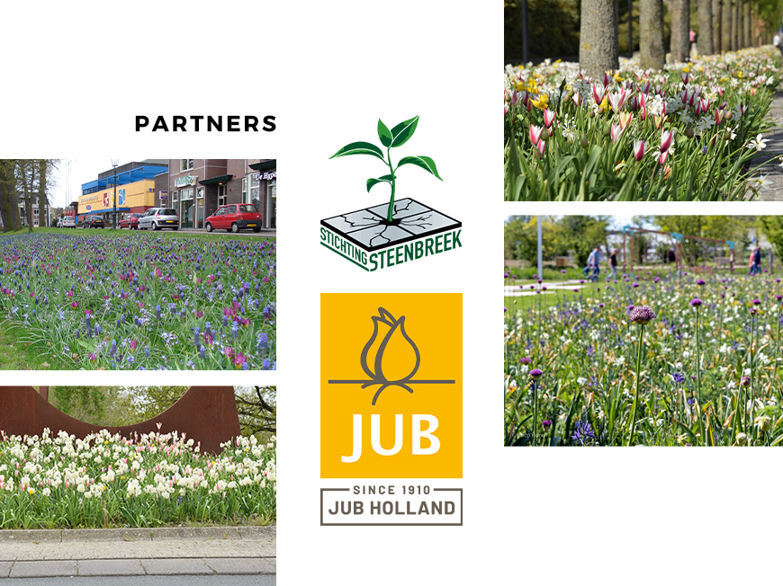 Partner van Stichting Steenbreek