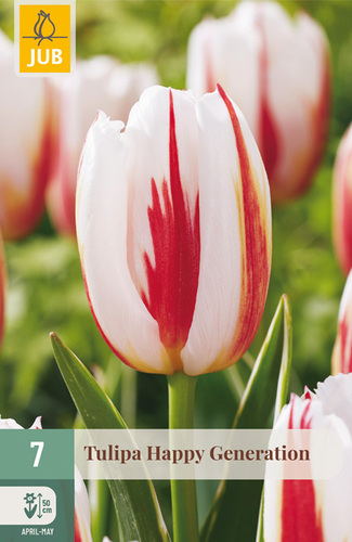 X 7 TULIPA HAPPY GENERATION | JUB Holland