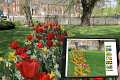 From Vision to Reality: University of Leeds brings spring to life with JUB Holland’s Flower Designer