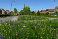 De Bonte Berm Roadshow in Putten