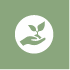 Organic bulbs