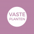 Vaste planten