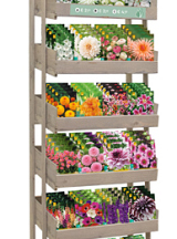 DISPLAY 'BESTSELLERS' (24 x 5)