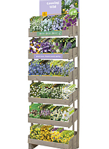 DISPLAY 'GROWING WILD' (24 X 5)