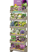 DISPLAY ALLIUM 21 X 5 (12 PREPACK, 9 XXL)