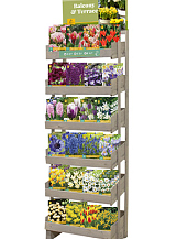 DISPLAY BULBS FOR BALCONY & TERRACE