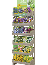 DISPLAY BULBS FOR BEES