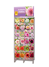 DISPLAY EXCLUSIEVE DAHLIAS (24 x 5)