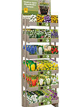 DISPLAY LASAGNE BEPLANTING (EN) (24 X 5)