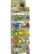 DISPLAY LASAGNE BEPLANTING (NL) (24 X 5)