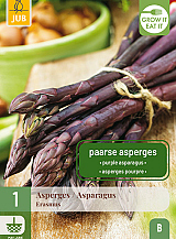 X 1 ASPARAGUS / ASPERGES ERASMUS