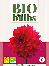 X 1 BIO DAHLIA MENORCA