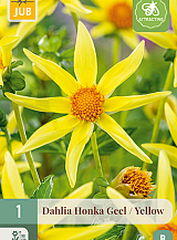 X 1 DAHLIA HONKA GEEL