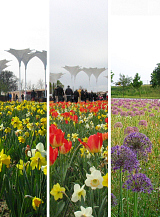 X 1 M2 MENGSEL FLORIADE