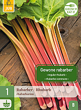 X 1 RHEUM / RABARBER RHABARBARUM