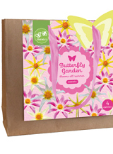 X 1 TAS 4 DAHLIA BUTTERFLY GARDEN - HONEY