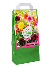 X 1 TAS 5 DAHLIA DECORATIEF MIX