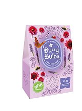 X 1 TAS 10 BUZZY BULBS PURPLE-VIOLET MIX