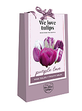 X 1 TAS 20 TULIPA 'WE LOVE TULIPS' PURPLE LOVE