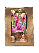 X 1 TAS 25 COLOUR YOUR GARDEN PINK BLUSH