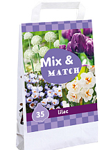 X 1 TAS 35 MIX & MATCH LILAC