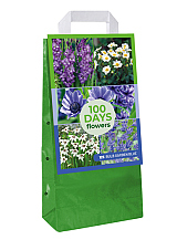 X 1 TAS 125 BULB GARDEN BLUE VJ