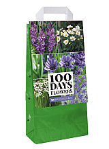 X 1 TAS 125 BULB GARDEN BLUE VJ