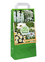 X 1 TAS 125 BULB GARDEN WHITE VJ