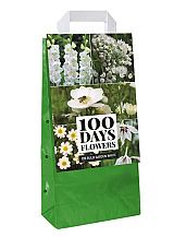 X 1 TAS 125 BULB GARDEN WHITE VJ