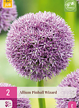 X 2 ALLIUM PINBALL WIZARD