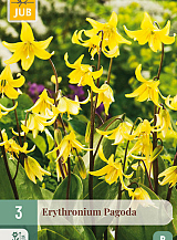 X   3 ERYTHRONIUM PAGODA