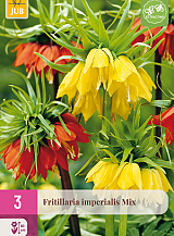 X   3 FRITILLARIA IMPERIALIS MIX