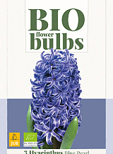 X   3 HYACINTHUS BLUE PEARL - BIO