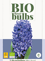X   3 HYACINTHUS BLUE PEARL - BIO