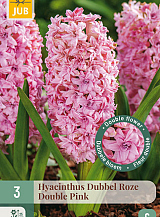 X   3 HYACINTHUS DUBBEL ROZE