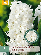 X   3 HYACINTHUS DUBBEL WIT
