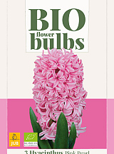 X   3 HYACINTHUS PINK PEARL - BIO