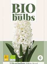 X   3 HYACINTHUS WHITE PEARL - BIO